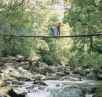 Arve Forest Drive - Australian Destinations