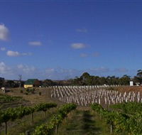 Deep Creek Wines and Alpacas - Australian Destinations