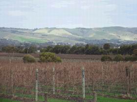 Mclaren Vale Premium Wines - Australian Destinations 0