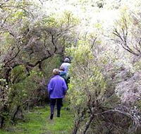 Jack And Hilda McArthur Walk - Australian Destinations