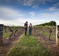 Coonawarra Wineries Walking Trail - Australian Destinations