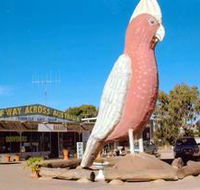 The Big Galah - Australian Destinations