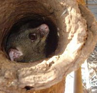 Mulga Sanctuary and Wildlife Park - Australian Destinations