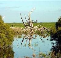 Bool Lagoon Game Reserve and Hacks Lagoon Conservation Park - Australian Destinations
