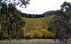 Mt Bera Vineyards - thumb 0