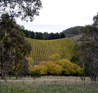 Mt Bera Vineyards - Australian Destinations