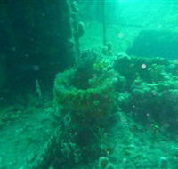 Wallaroo Scuba Club - Australian Destinations