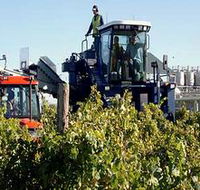 Ballast Stone Estate Wines Pty Ltd - Australian Destinations