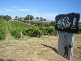 Mollydooker Wines - Australian Destinations 0