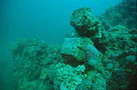 Adelaide's Underwater Heritage Trail - Australian Destinations 0