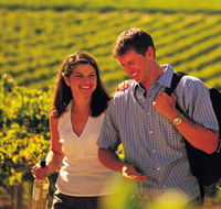 Lady Bay Vineyard - Australian Destinations