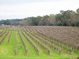 Dennis Wines - Australian Destinations 0