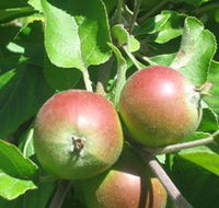 Sage Cooking School - Australian Destinations