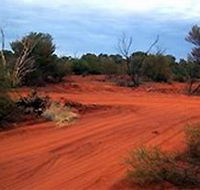 Tallaringa Conservation Park - Australian Destinations