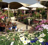 Serenity Nursery - Australian Destinations