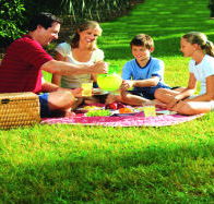 Bruny Island Berry Farm - Australian Destinations