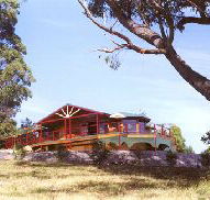 Barringwood Park Vineyard - Australian Destinations
