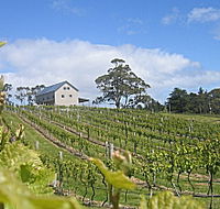 Bruny Island Premium Wines Bar and Grill - Australian Destinations