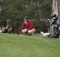 Tasmania Golf Club - The - Australian Destinations