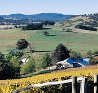 Freycinet Vineyards Pty Ltd - Australian Destinations
