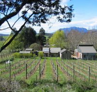 Wilmot Hills Vineyard - Australian Destinations