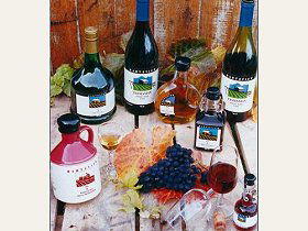Hartzview Vineyard - Australian Destinations 0