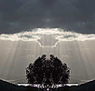 aart. Gallery of Fine Art - Australian Destinations