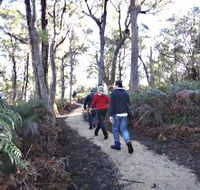 Bridport Walking Track - Australian Destinations