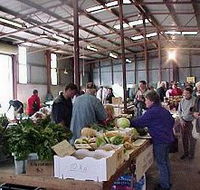Burnie Farmers' Market - Australian Destinations