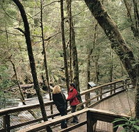 Franklin River Nature Trail - Australian Destinations