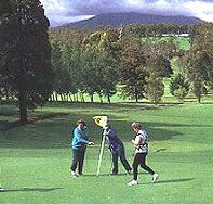Deloraine Golf Course - Australian Destinations