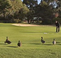 Royal Hobart Golf Club - Australian Destinations