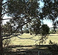 Cygnet Public Golf Course - Australian Destinations
