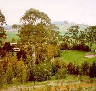 The Tasmanian Arboretum - Australian Destinations