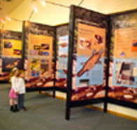 Platypus Experience - Australian Destinations