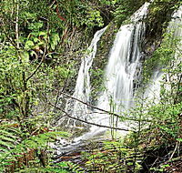 Hogarth Falls - Australian Destinations