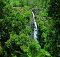 Kondalilla National Park - Australian Destinations