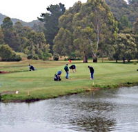 Penguin Golf Course - Australian Destinations