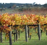 Apsley Gorge Vineyard - Australian Destinations