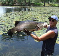 Barra Feeding - Australian Destinations