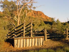 Illamurta Springs Conservation Reserve - Australian Destinations 0