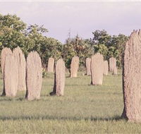Magnetic Termite Mounds - Australian Destinations