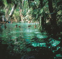 Mataranka Thermal Pool - Australian Destinations