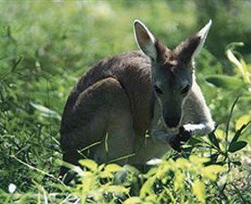 Australian Destinations