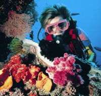 Cook Island Dive Site - Australian Destinations