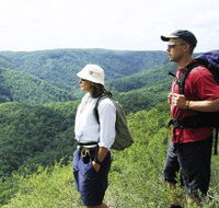 Sunshine Coast Hinterland Great Walk - Australian Destinations