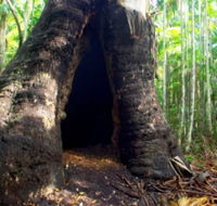 Tewantin National Park - Australian Destinations