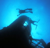 Ex HMAS Brisbane Dive Site - Australian Destinations