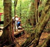 Mary Cairncross Scenic Reserve