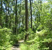 Mapleton Falls National Park - Australian Destinations